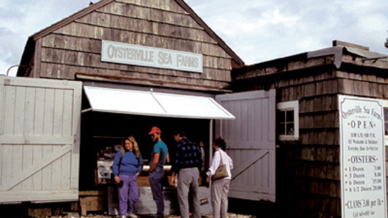 Photo of Outdoor in Ocean Park