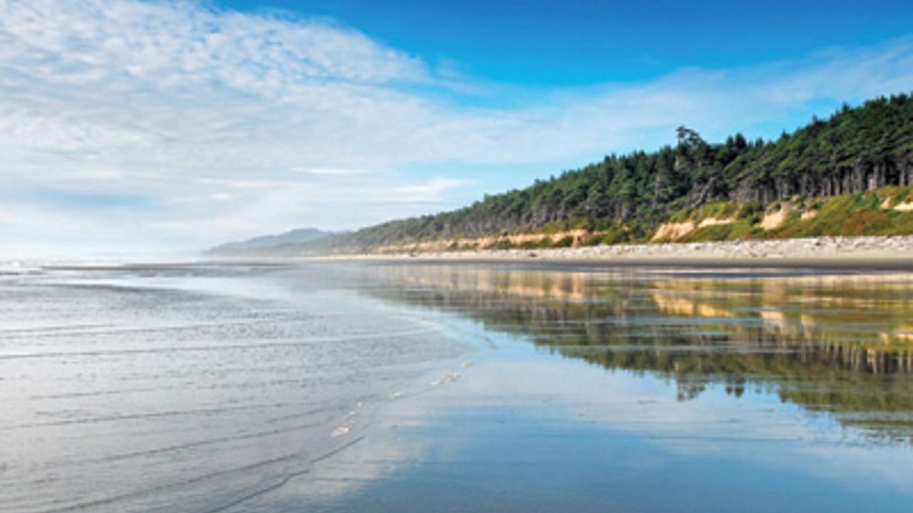 Photo of Others in Ocean Park
