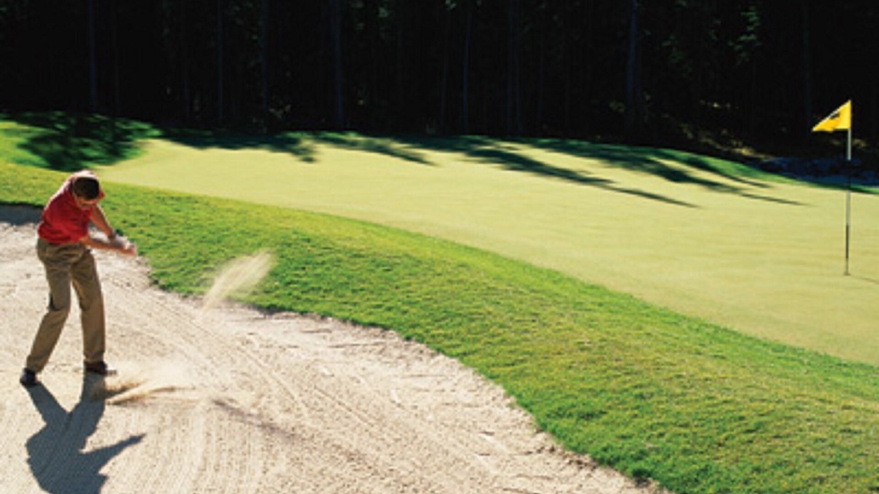 Photo of Others in Ocean Park
