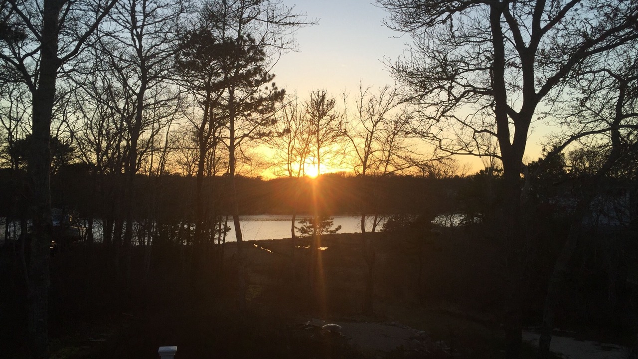 Photo of Others in East Falmouth