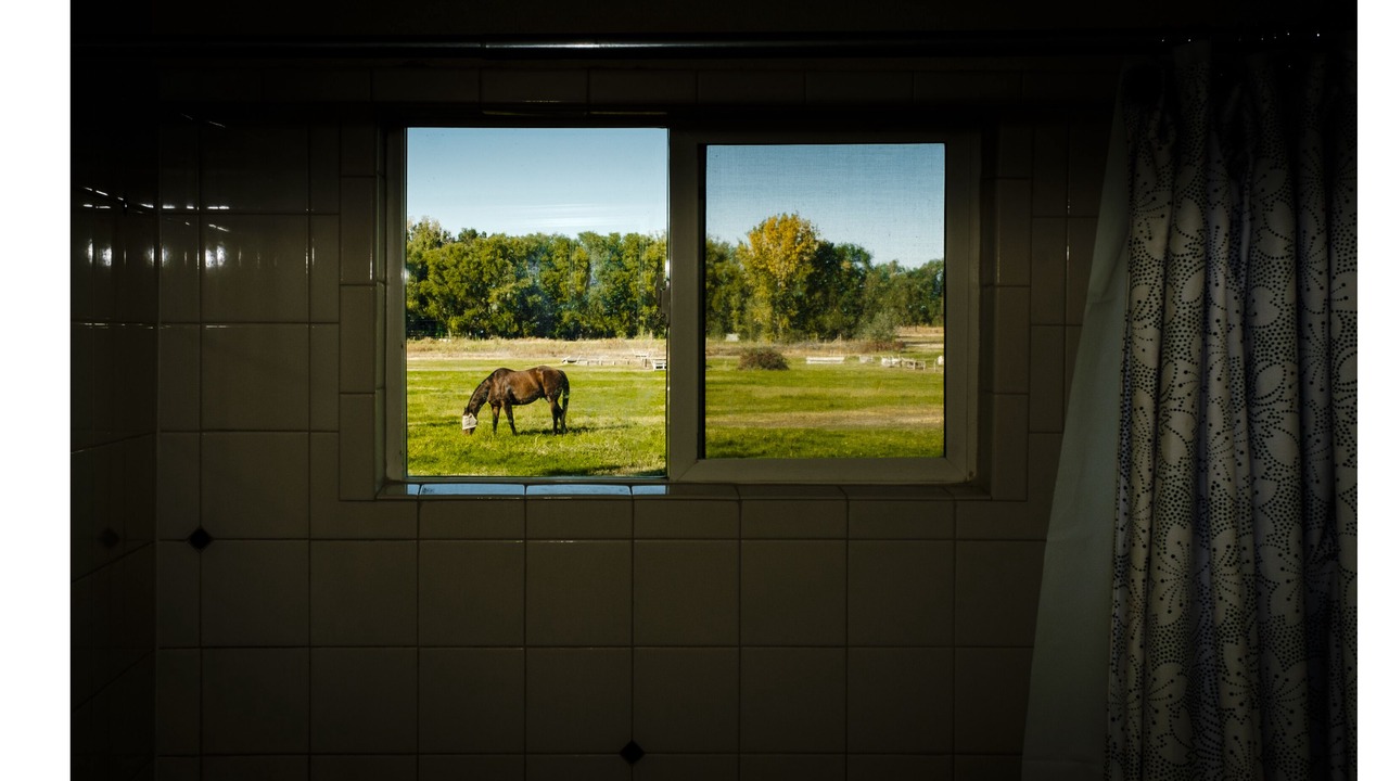 Photo of Others in Finley