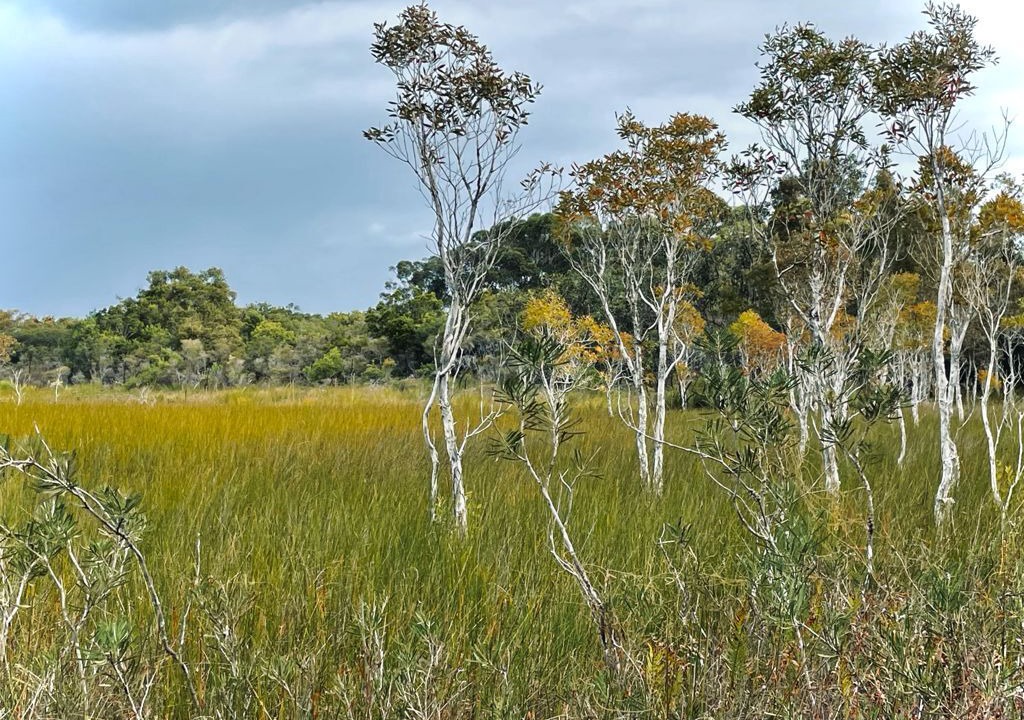 Photo of Outdoor in Red Rock