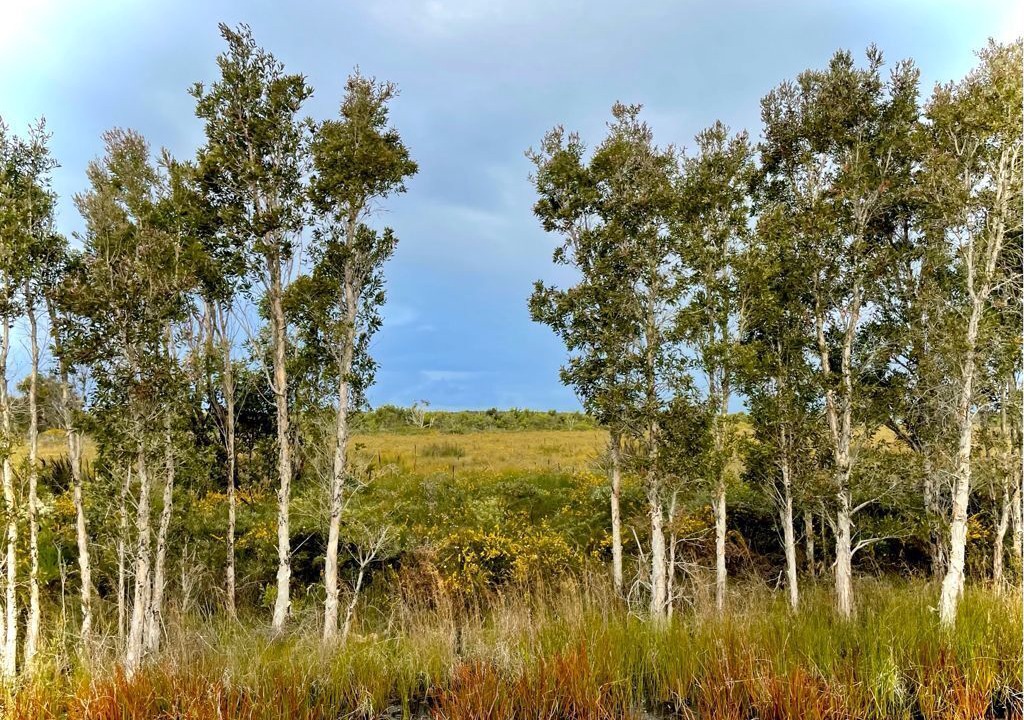 Photo of Outdoor in Red Rock