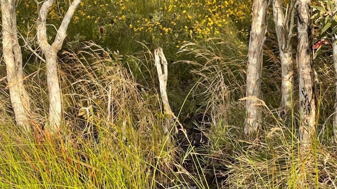 Photo of Outdoor in Red Rock