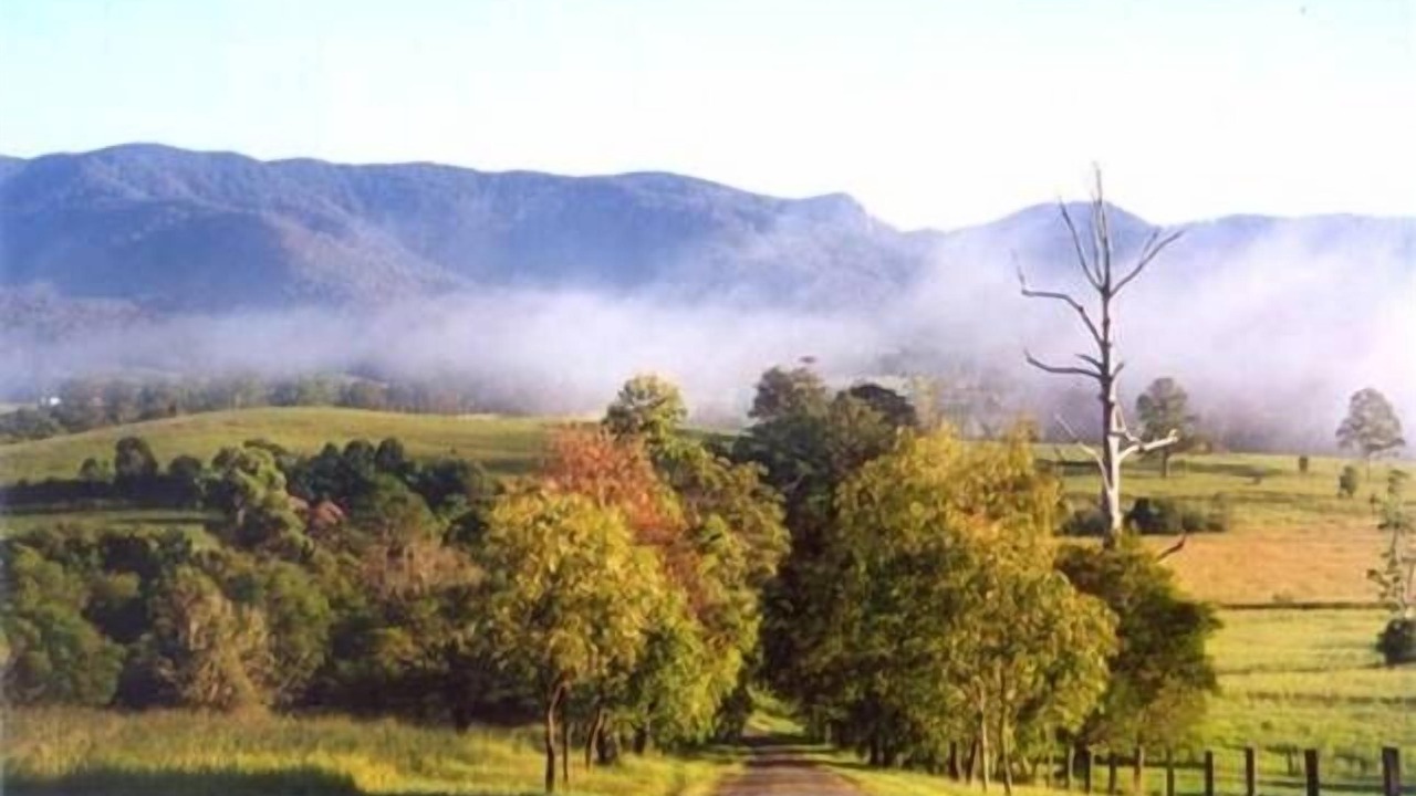 Photo of Others in Bellingen