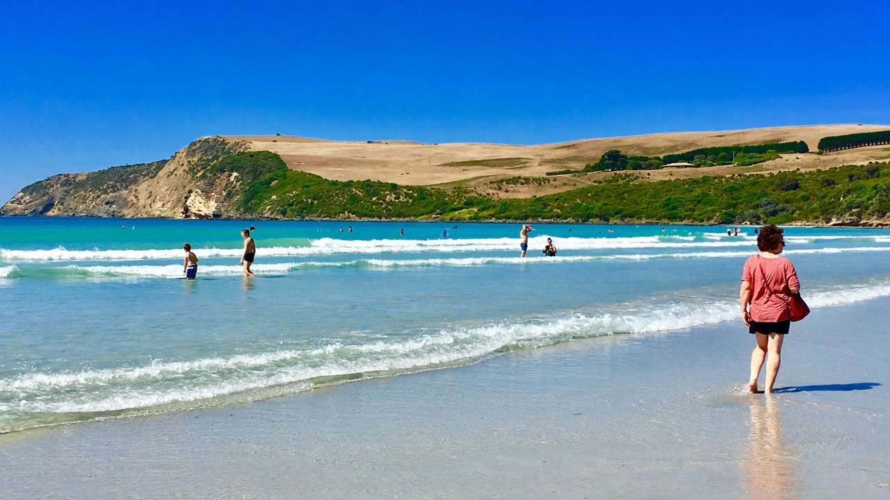 Photo of Others in Cape Bridgewater