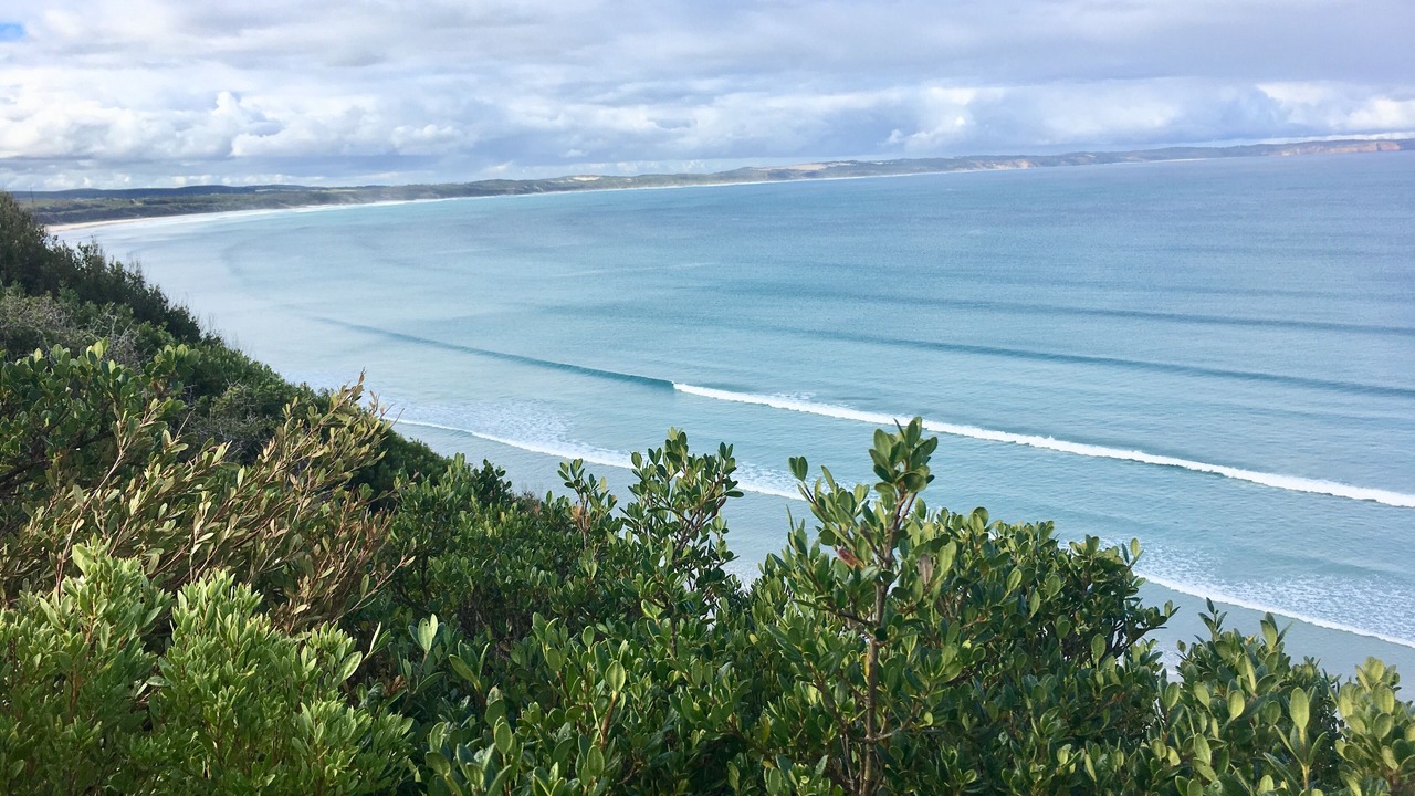 Photo of Others in Cape Bridgewater