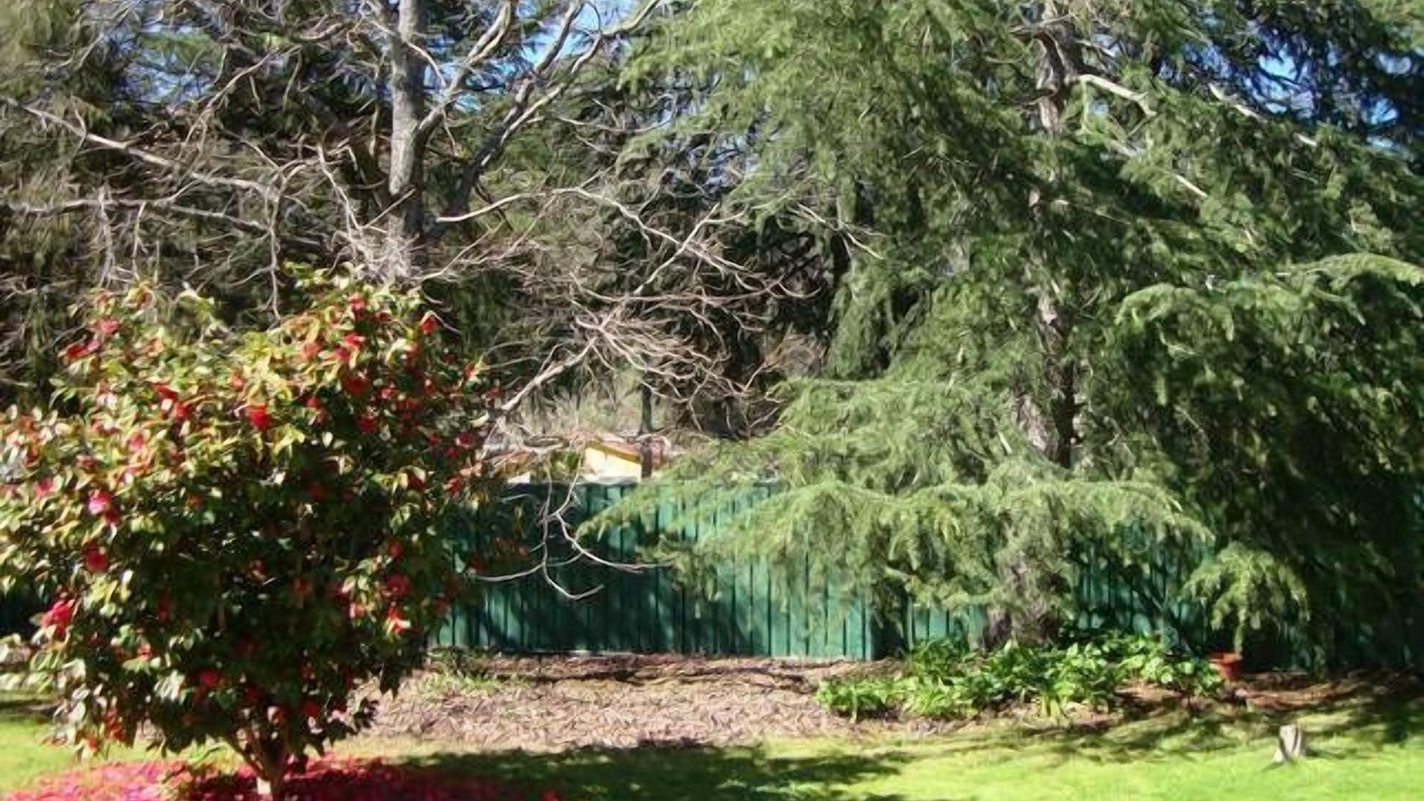 Photo of Outdoor in Bright