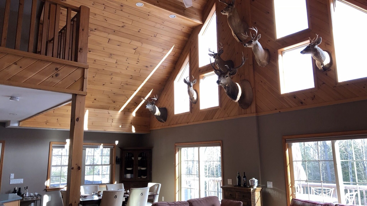 Photo of Bedroom in West Kill