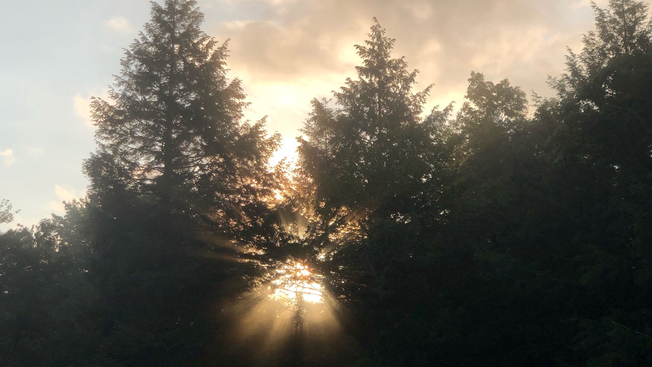 Photo of Others in West Kill