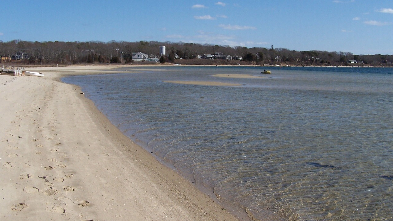 Photo of Others in East Chop