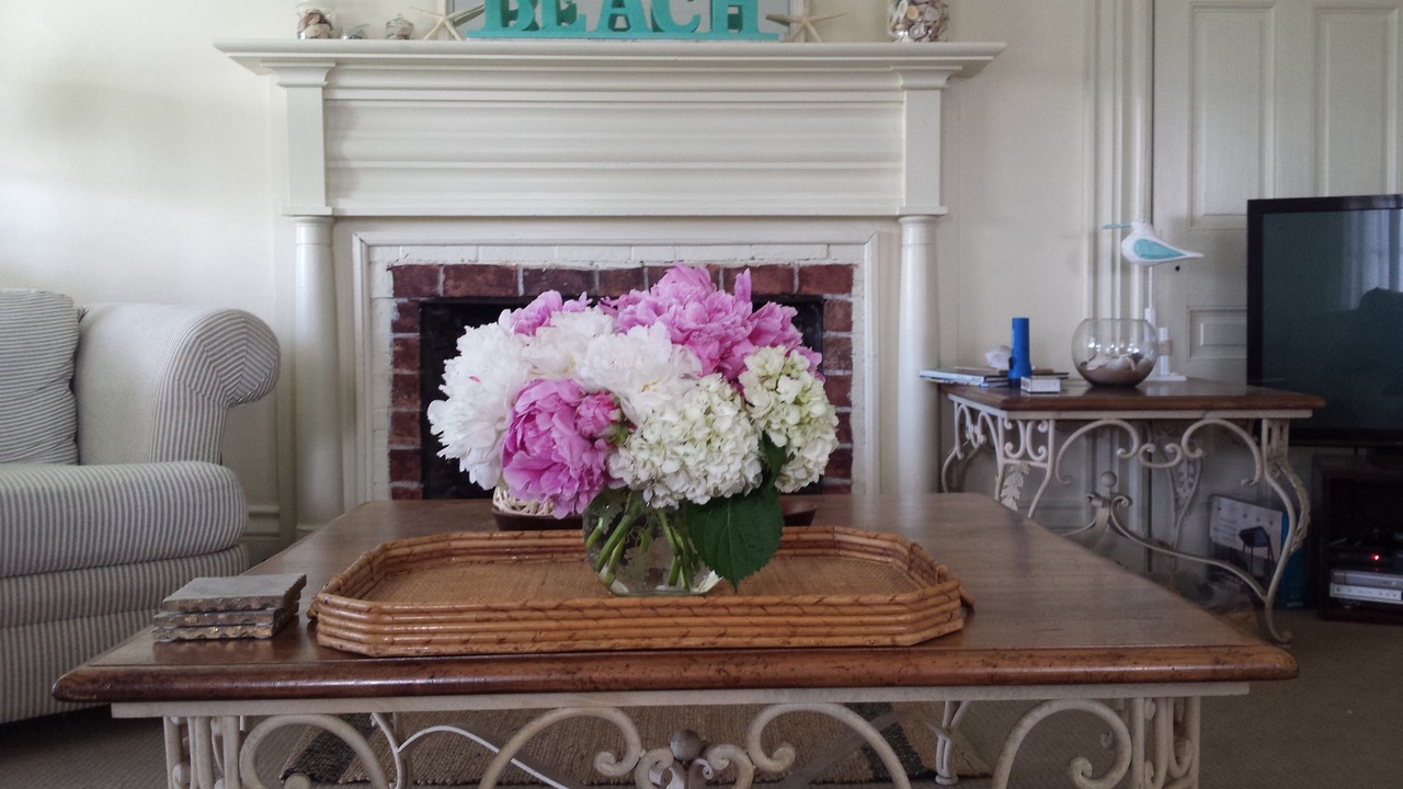 Photo of Livingroom in East Chop