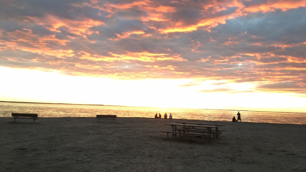 Photo of Others in Springs