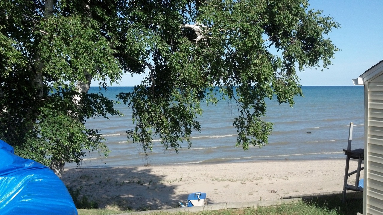 Photo of Others in Carsonville