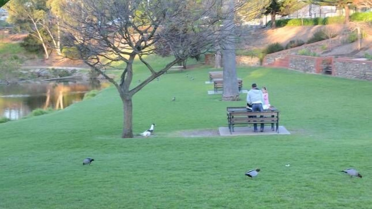 Photo of Others in Bremer