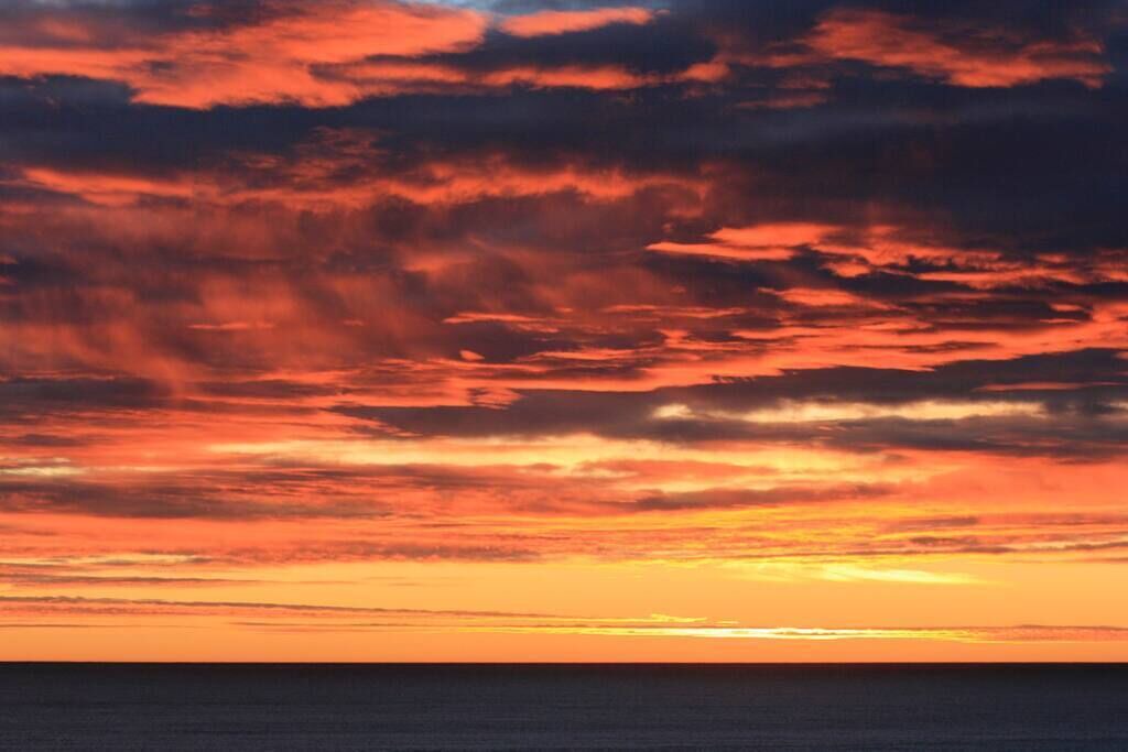 Photo of Others in Mokihinui