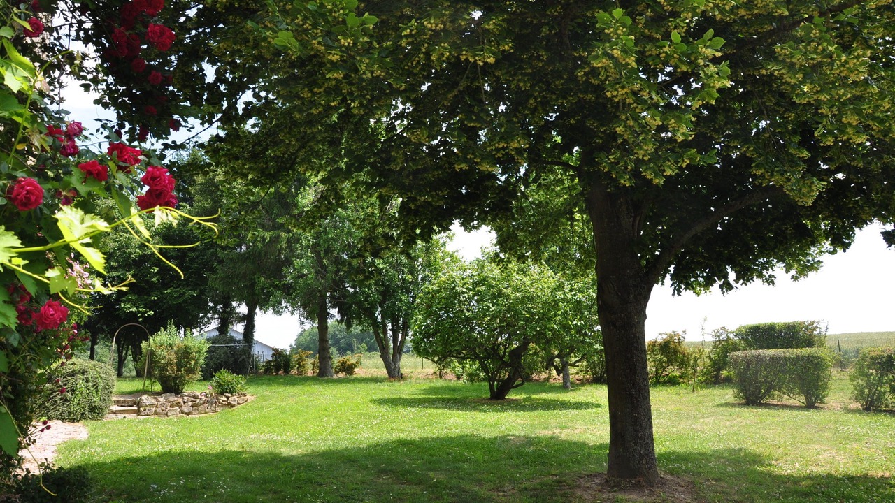 Photo of Outdoor in Priez
