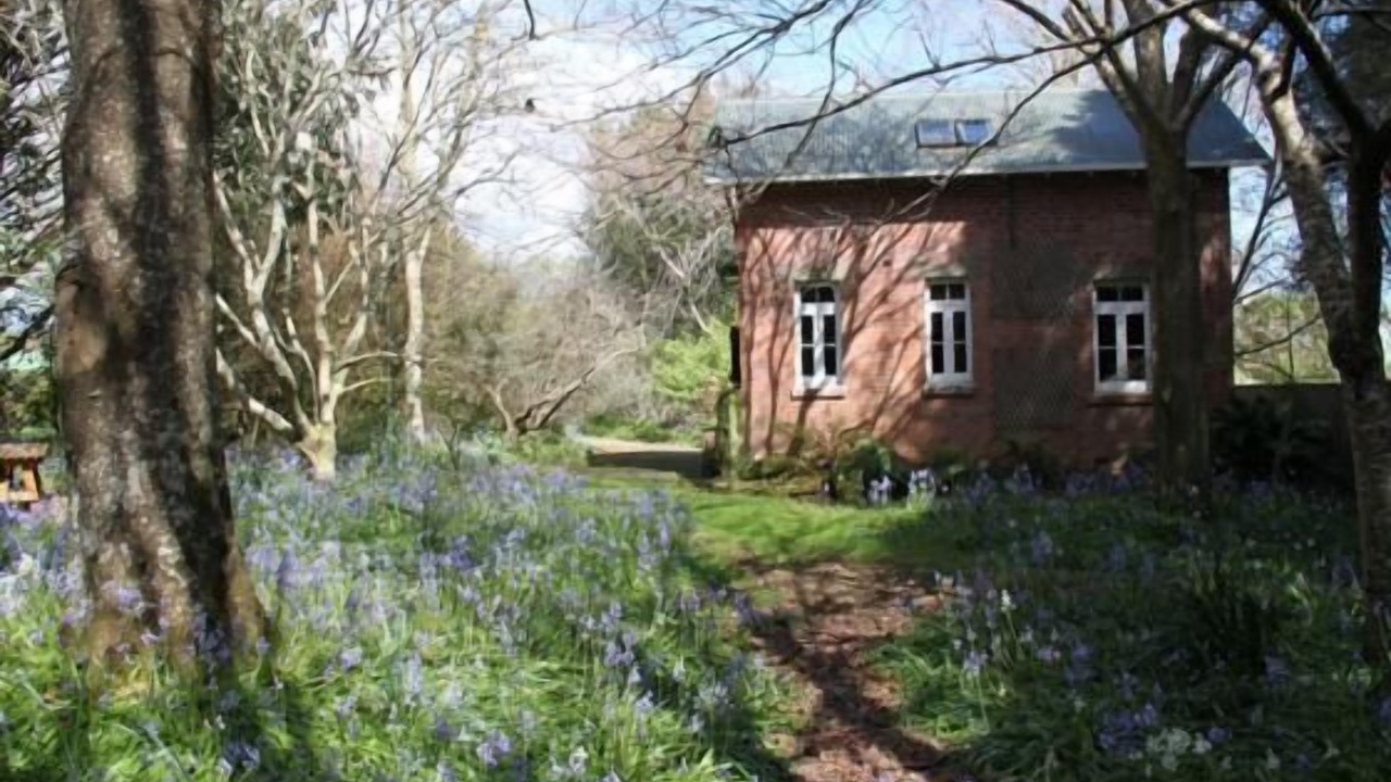 Photo of Others in Otaki