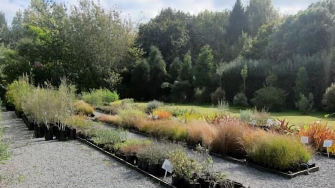 Photo of Others in Otaki