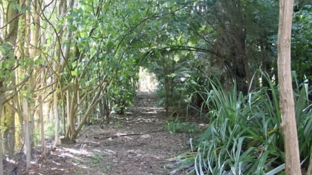 Photo of Others in Otaki