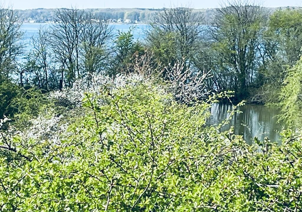 Photo of Outdoor in Grasten