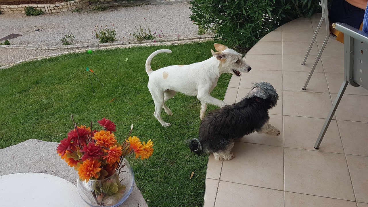 Photo of Outdoor in Punat