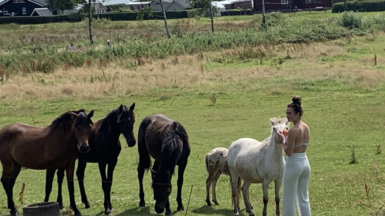 Photo of Outdoor in Aabenraa