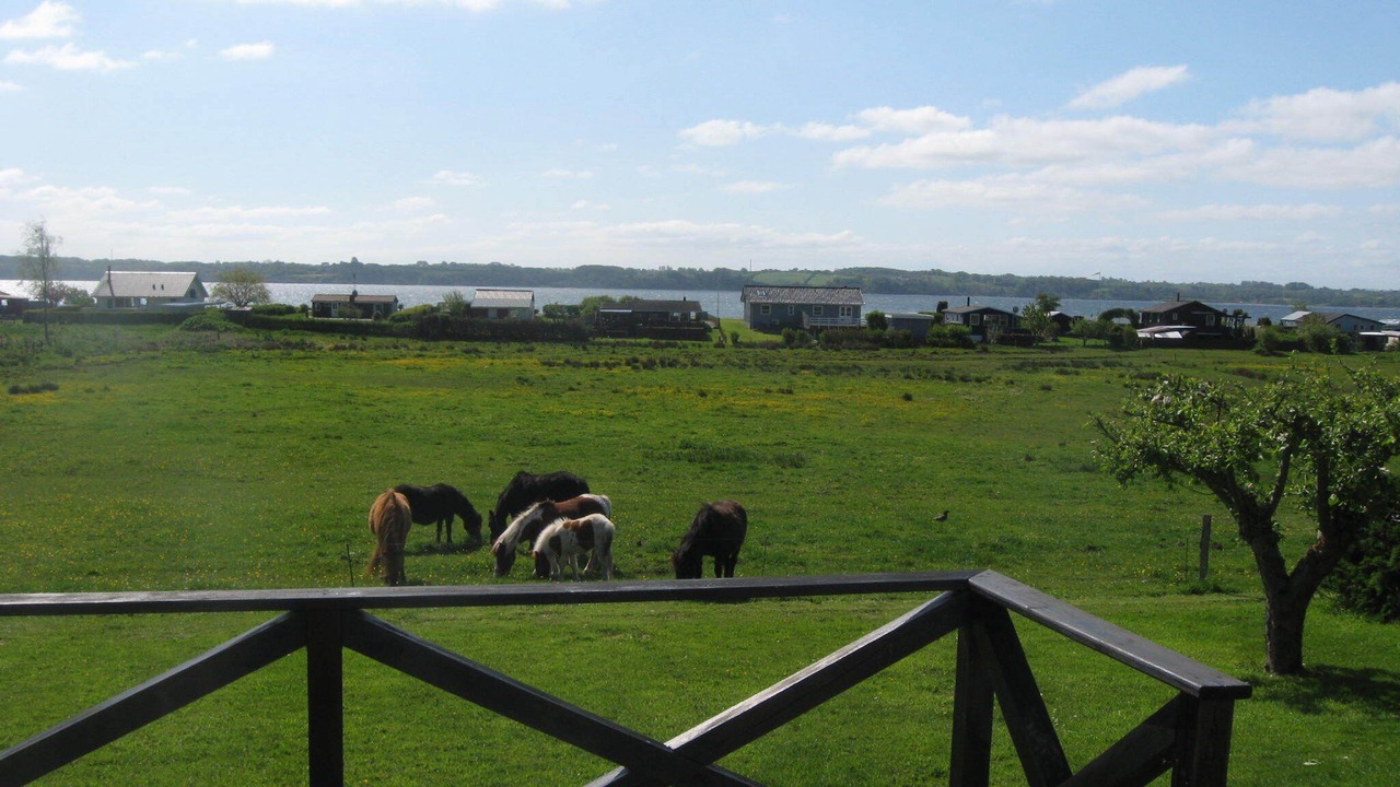 Photo of Outdoor in Aabenraa