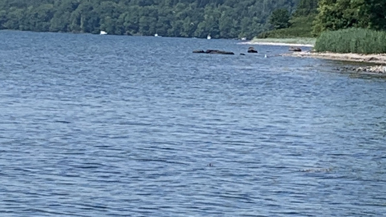 Photo of Others in Aabenraa