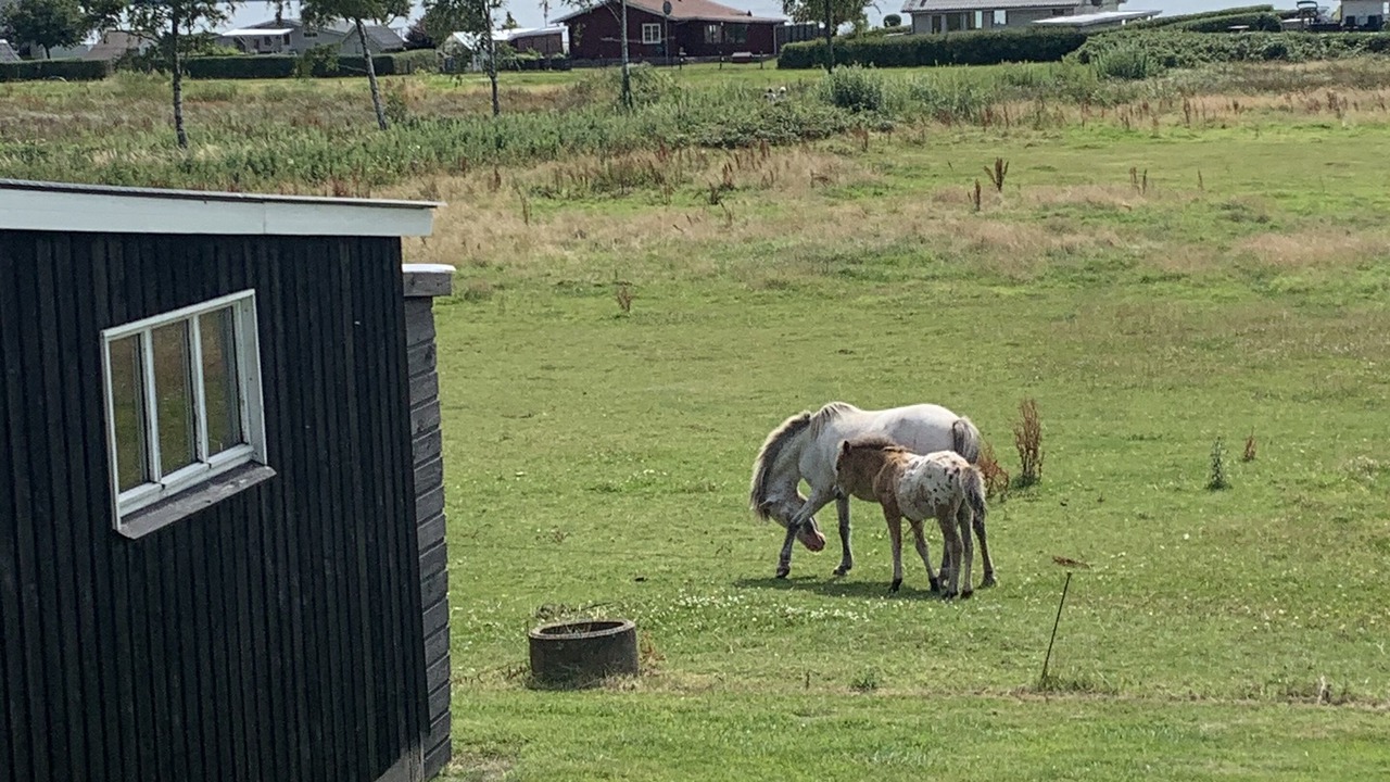 Photo of Outdoor in Aabenraa