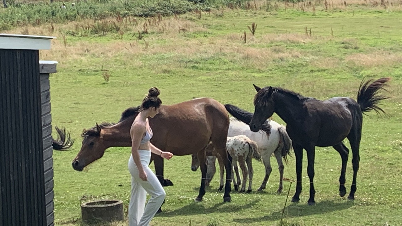 Photo of Others in Aabenraa