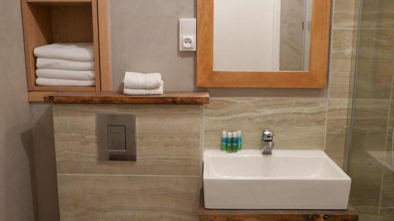 Photo of Bathroom in Le Praz