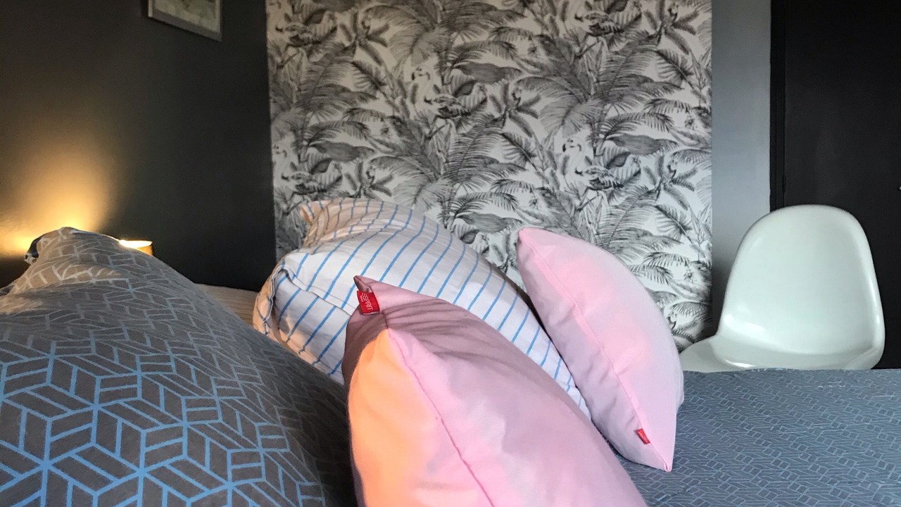 Photo of Bedroom in Saint-Broladre