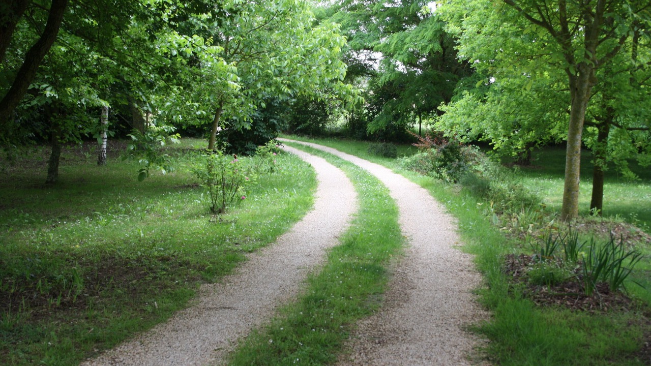 Photo of Outdoor in Vendeuvre-du-Poitou