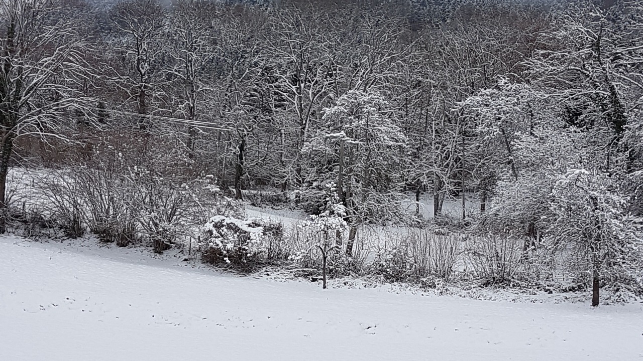 Photo of Others in Lyaud