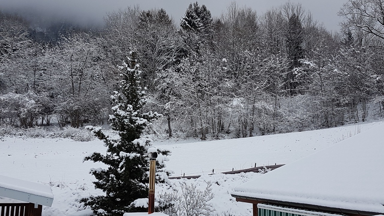 Photo of Others in Lyaud