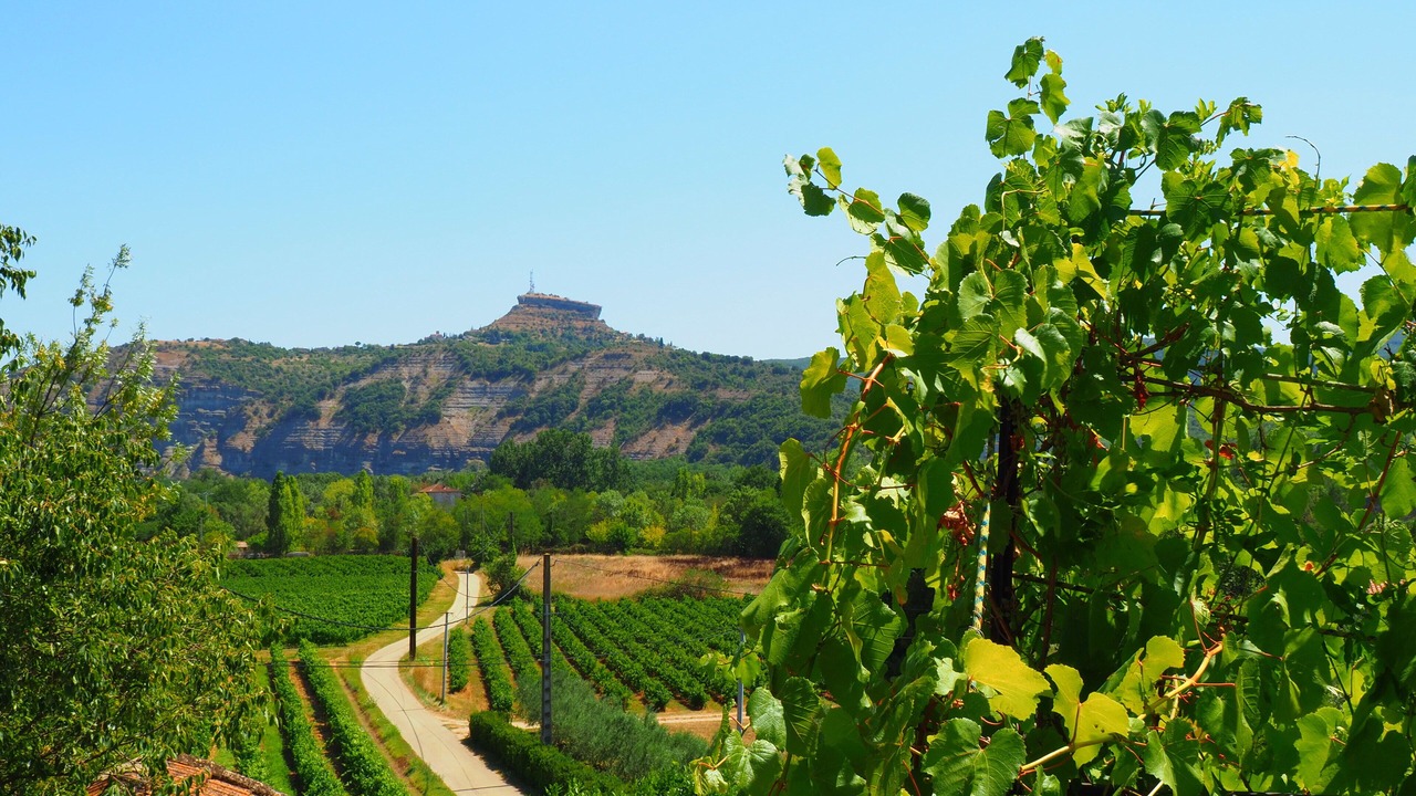 Photo of Outdoor in Saint Alban Auriolles