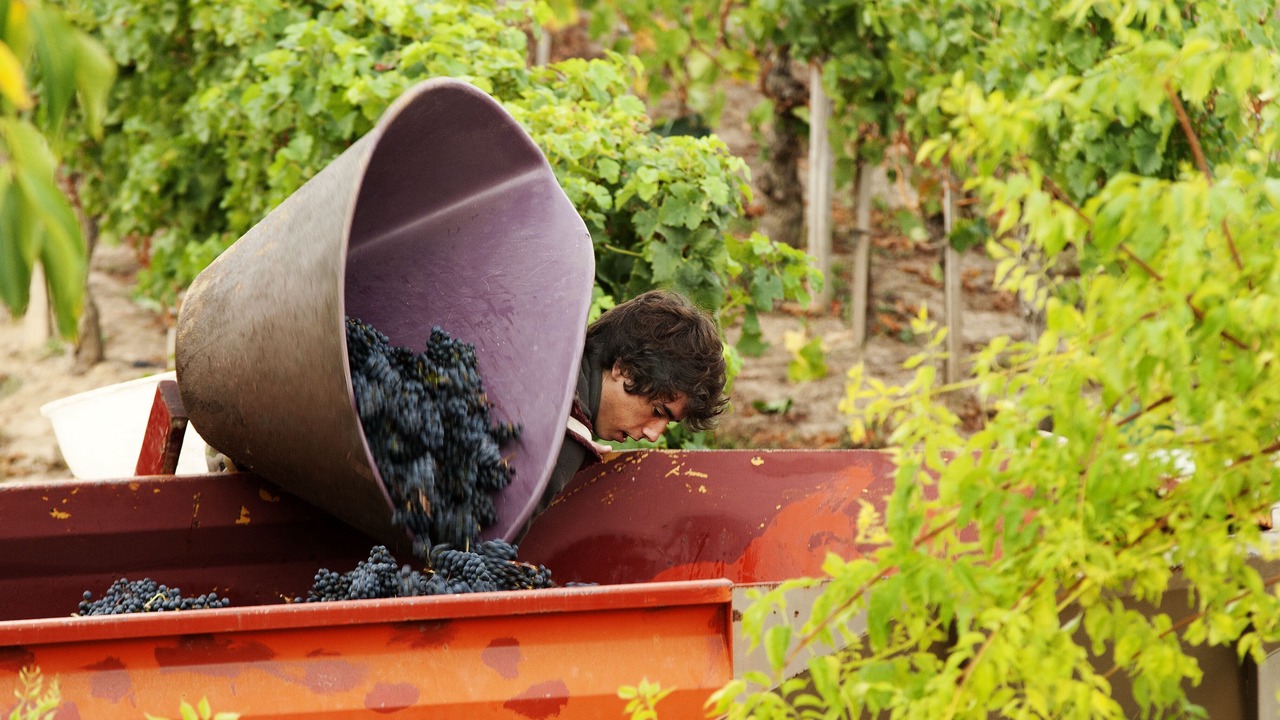 Photo of Outdoor in Les Artigues-de-Lussac