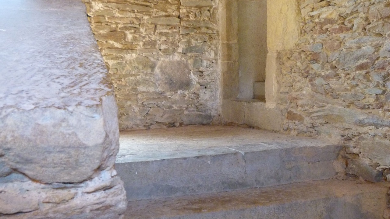 Photo of Others in Talmont-Saint-Hilaire