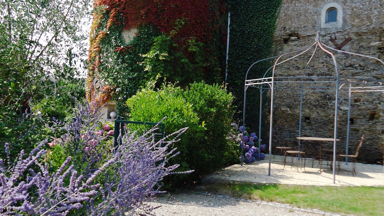 Photo of Outdoor in Talmont-Saint-Hilaire