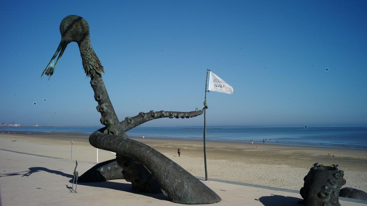 Photo of Others in Malo-les-Bains
