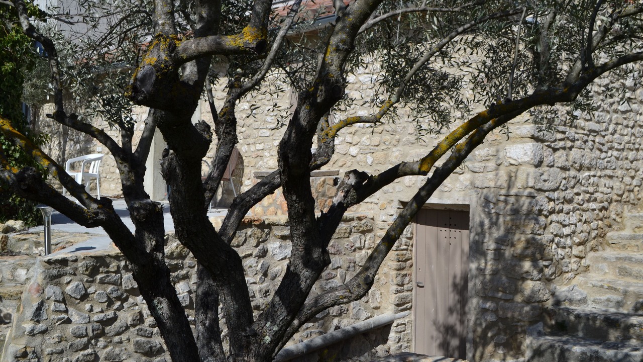 Photo of Outdoor in Lagnes