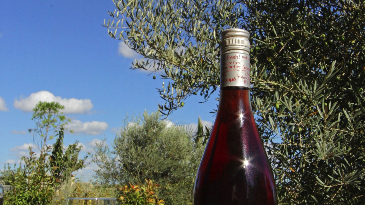 Photo of Others in Argens-Minervois