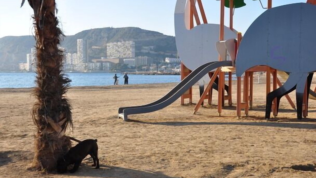 Photo of Others in Playa de San Juan