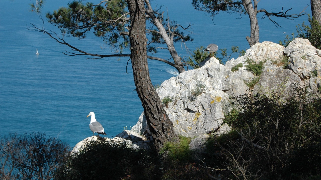 Photo of Outdoor in Playa de San Juan