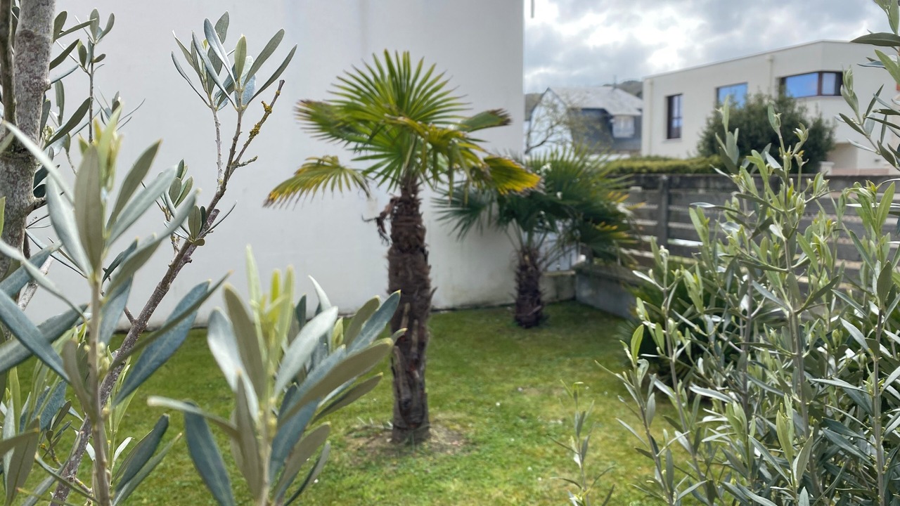 Photo of Outdoor in Benerville-sur-Mer
