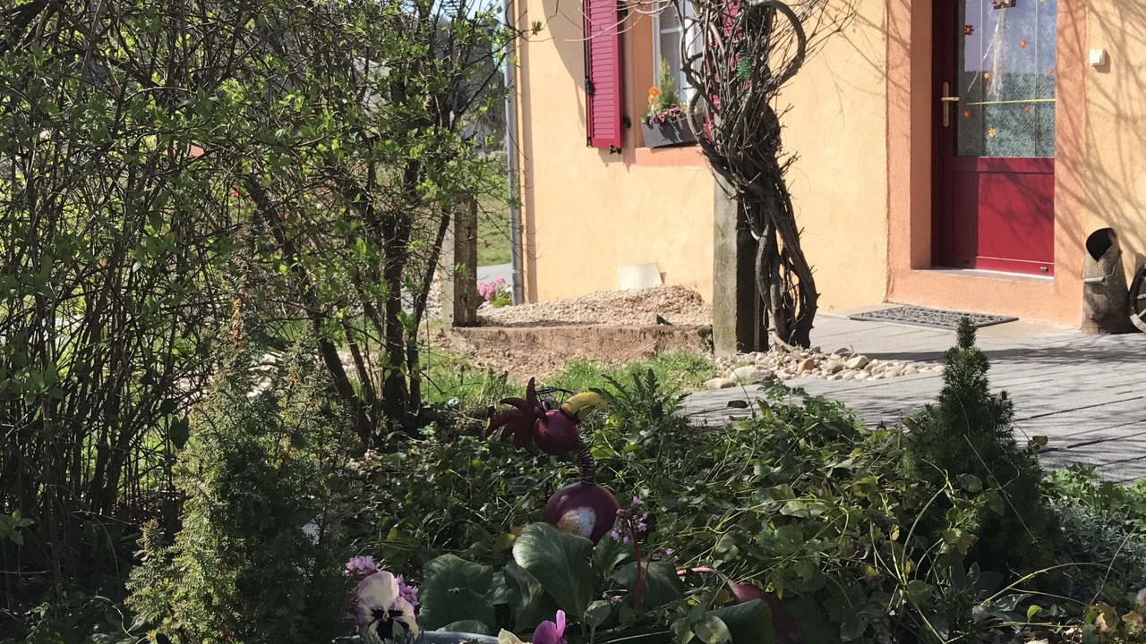 Photo of Outdoor in Etueffont