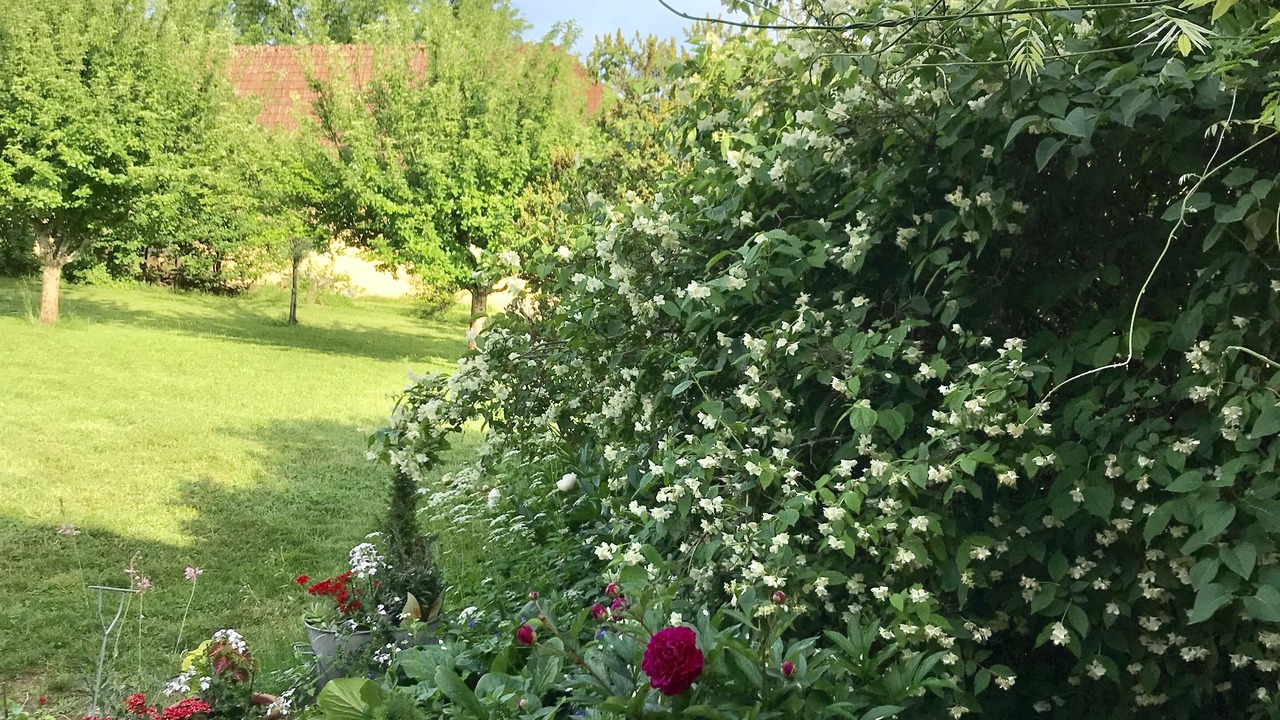 Photo of Outdoor in Etueffont