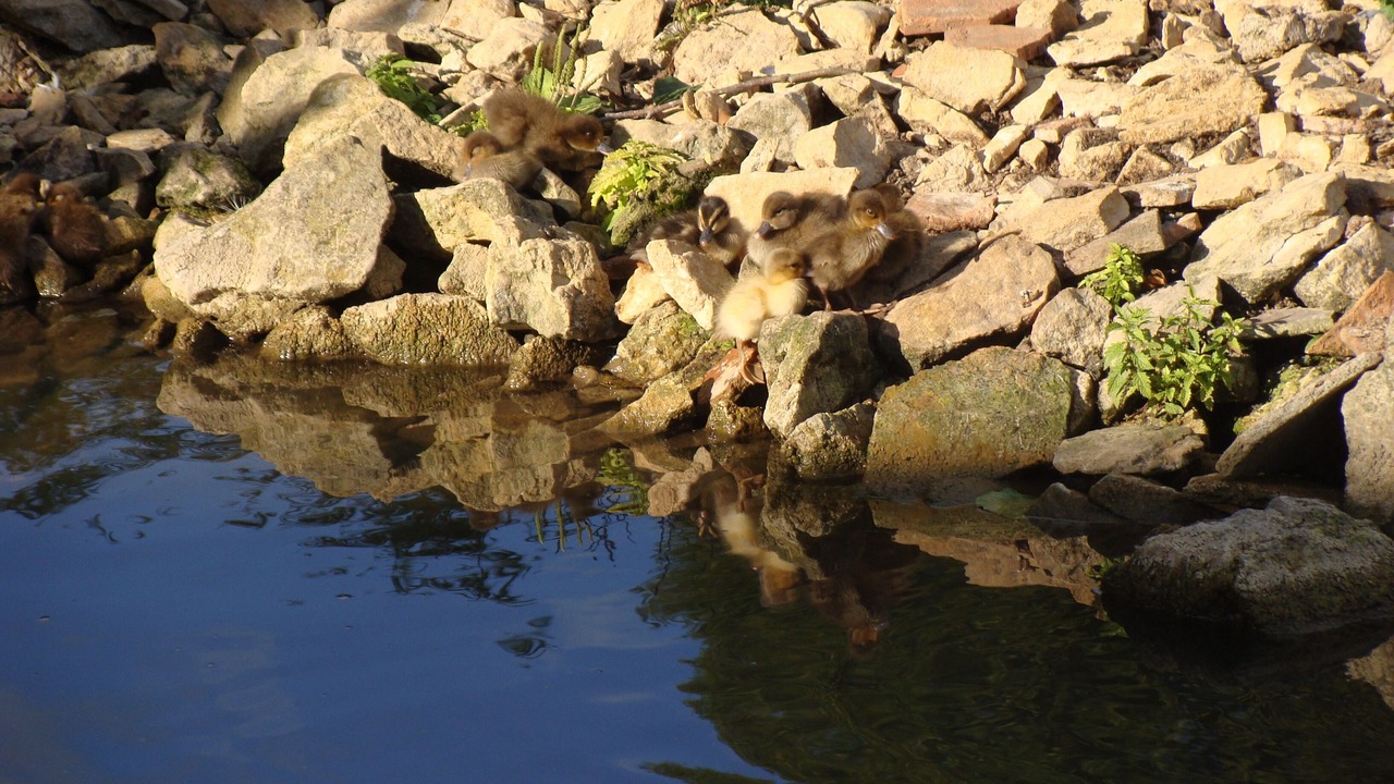 Photo of Outdoor in Brosses