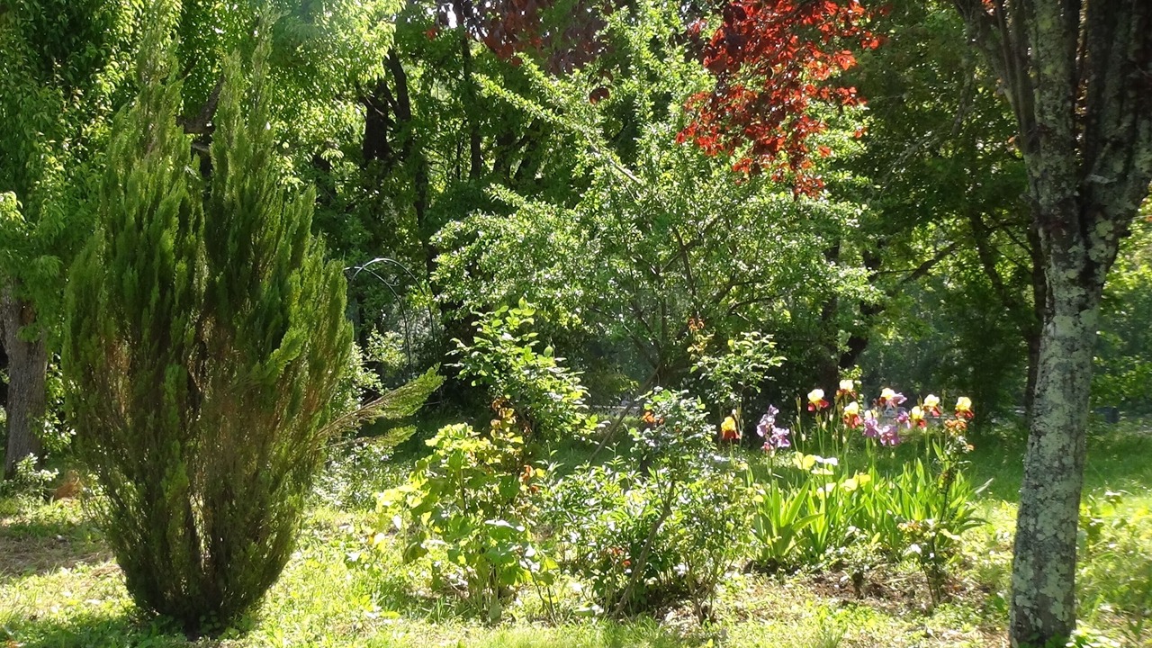 Photo of Outdoor in Itzac